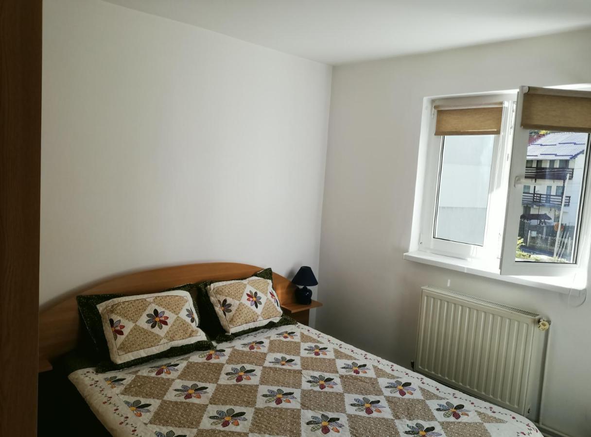 Apartament Langa Castan Lejlighed Azuga Eksteriør billede