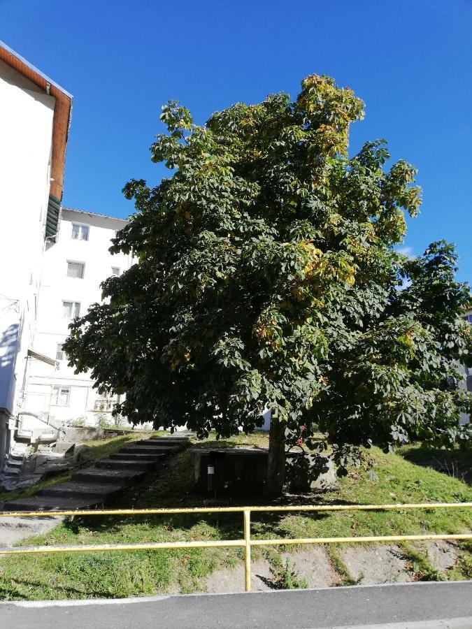 Apartament Langa Castan Lejlighed Azuga Eksteriør billede