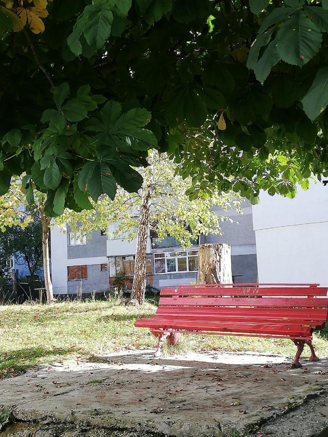 Apartament Langa Castan Lejlighed Azuga Eksteriør billede